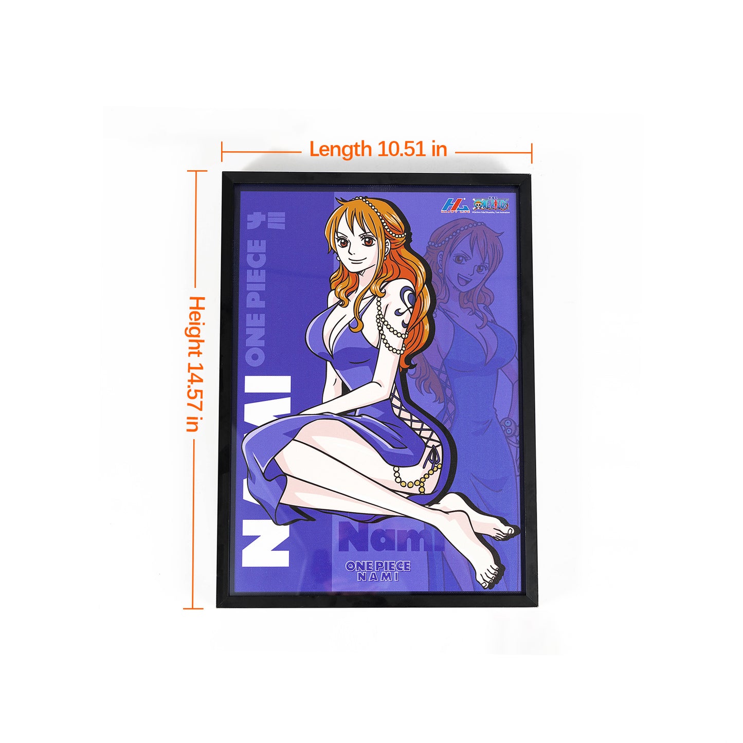Nami Poster of the King of Thieves001